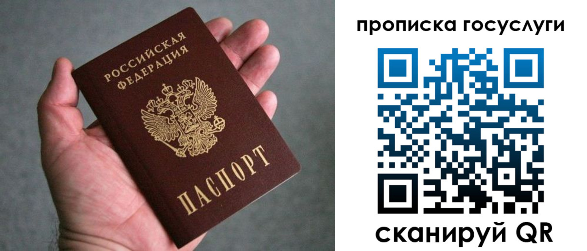 прописка 2025 в Каменск-Шахтинском